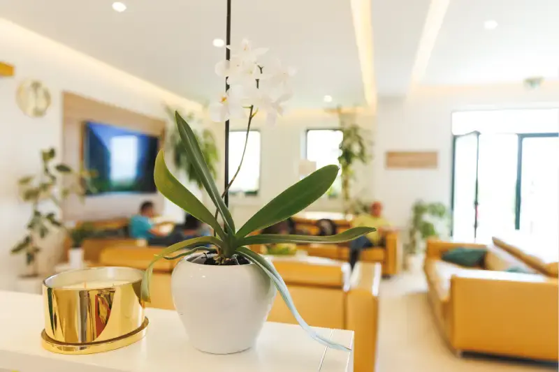 Dentalna klinika Dental Professionals Hrvatska